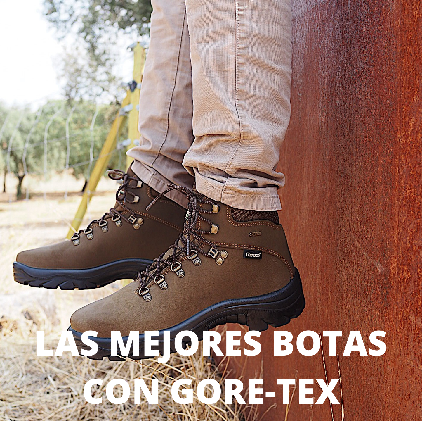 Las 10 mejores botas con Gore-Tex del mercado La Valenciana Calzados