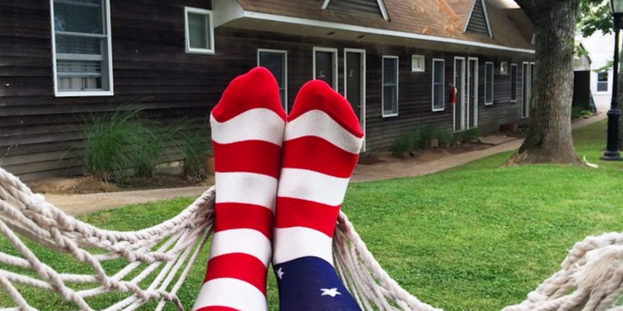 Calcetines Jimmy Lion Sueño Americano - imagen 4