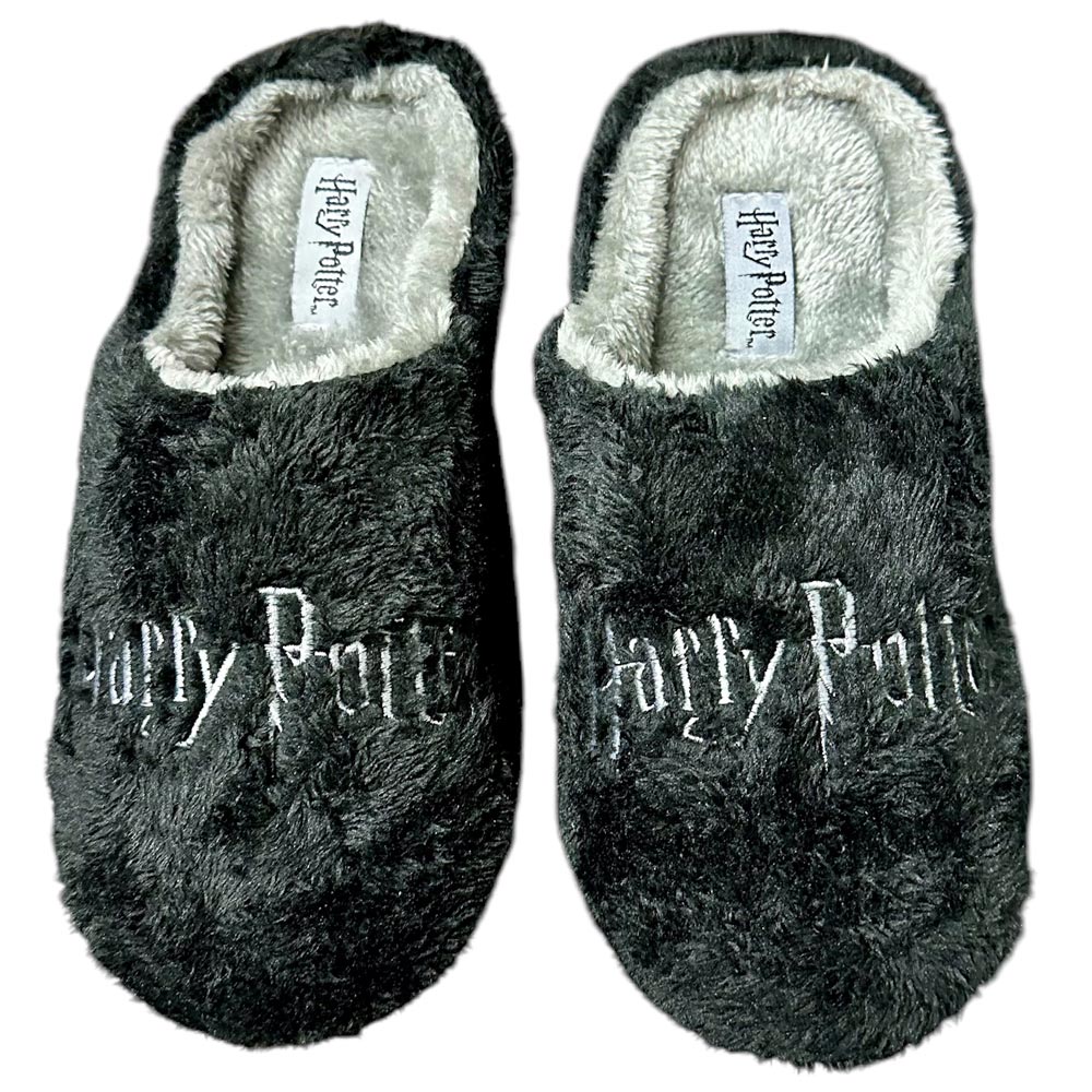 Zapatillas de Casa Bubble Kids Harry Potter HP16645 Negro - imagen 1