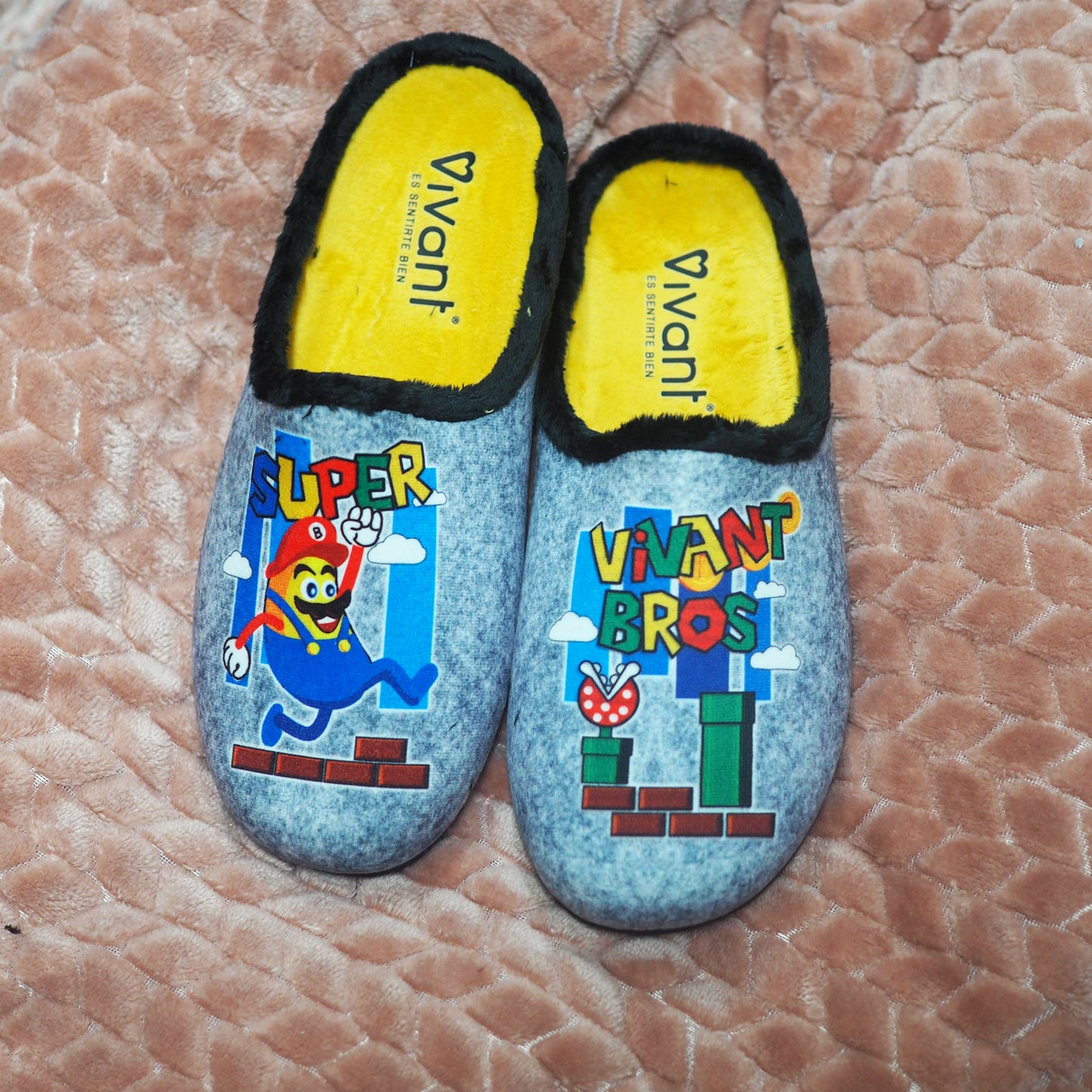 Zapatillas de Casa Vivant Ban-Bros 222290 Gris - imagen 1