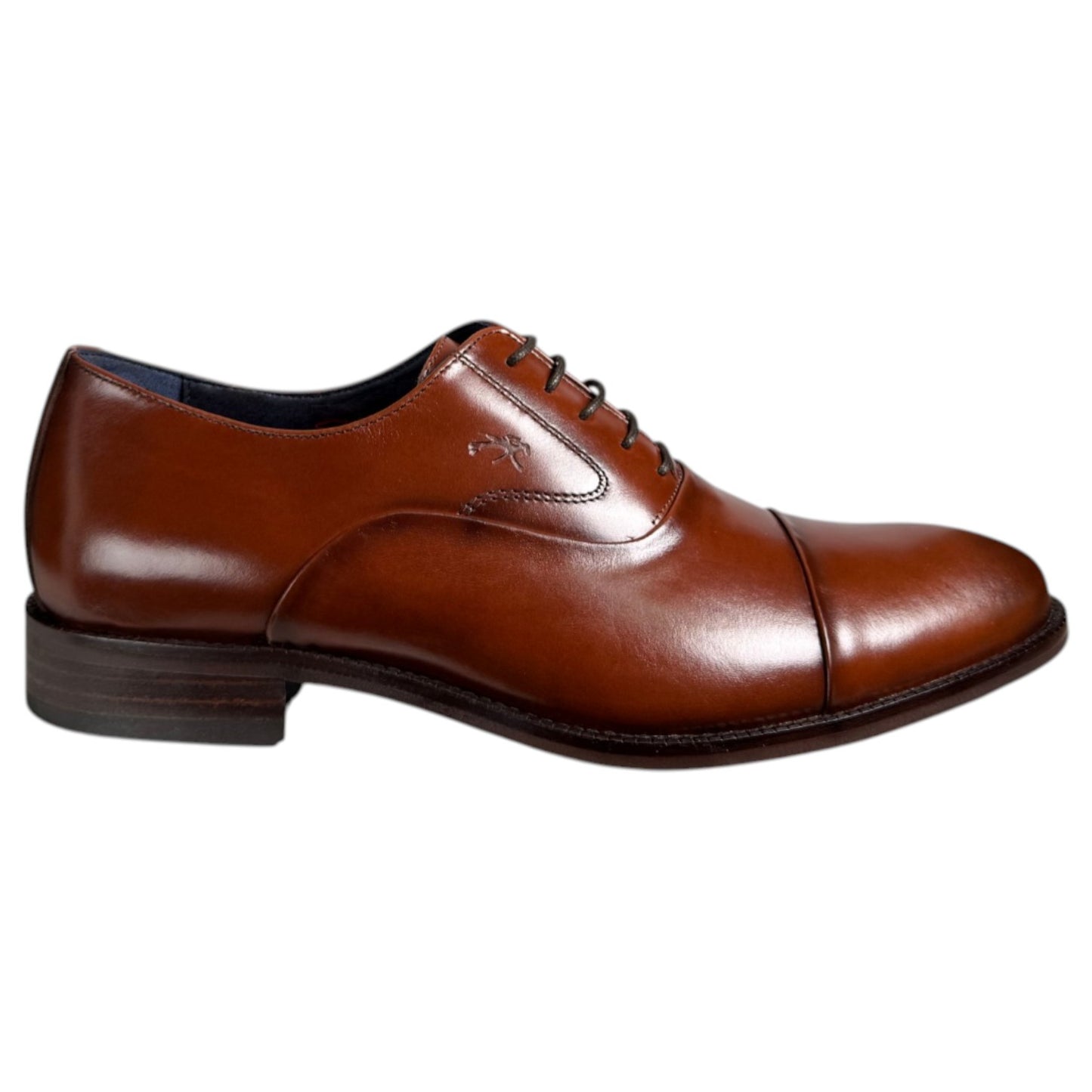 Zapatos Fluchos Robert F2162 Castaño - imagen 1