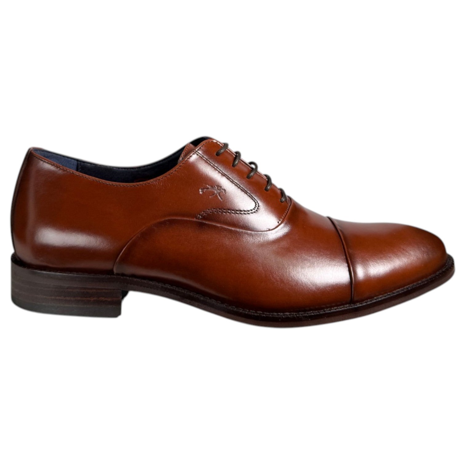Zapatos Fluchos Robert F2162 Castaño - imagen 1